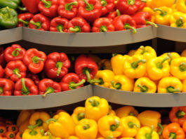 Sagra del peperone di Carmagnola 1072 0 peperone carmagnola_ok